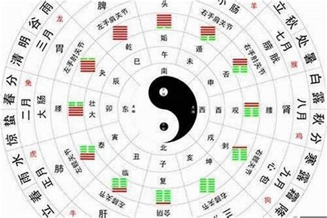 人分等級 五行水金